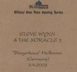 Steve Wynn - Official Blue Rose Bootleg Series