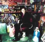 Steve Wynn - What I Did After My Band Broke Up