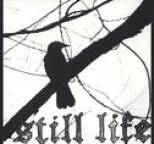 Still Life - Madness and the Gackle