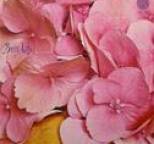 Still Life - Still Life