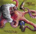 Stone Senses - Exception To The Rule