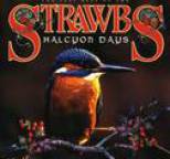 Strawbs - Halcyon Days