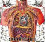 Strung Out - Prototypes and Painkillers