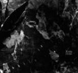 Xhin - Sword