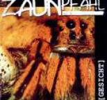 Zaunpfahl - Gesicht