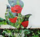 Z�lf� Livaneli - G�nlerimiz